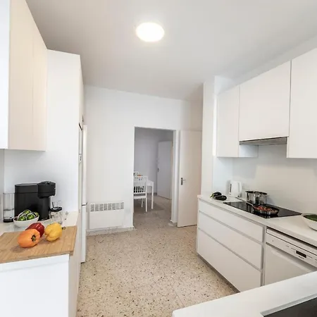 Forty Pine Trees パノ・プラトレス