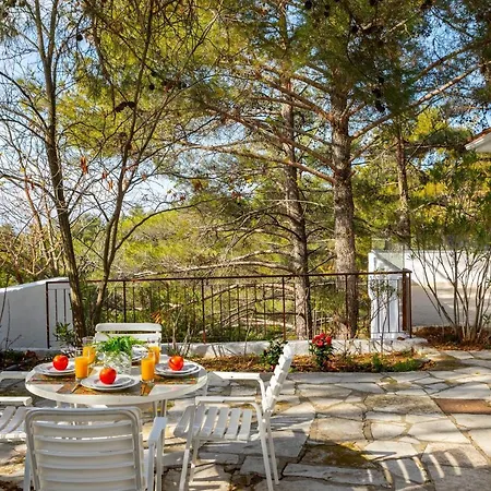 Villa Forty Pine Trees *