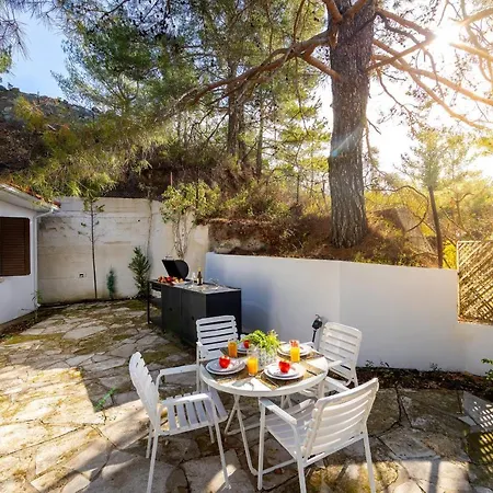 Villa Forty Pine Trees