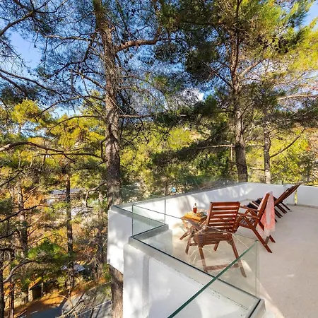Forty Pine Trees * Platres