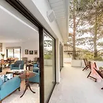 Forty Pine Trees * Platres