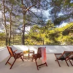 Forty Pine Trees * Platres