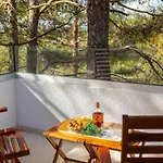 Forty Pine Trees Platres