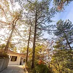 Villa Forty Pine Trees *
