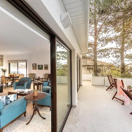 Forty Pine Trees * 普拉特斯