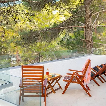 Forty Pine Trees * 普拉特斯