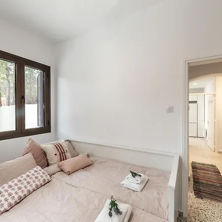 Forty Pine Trees 普拉特斯