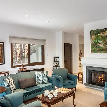 别墅 Forty Pine Trees 普拉特斯