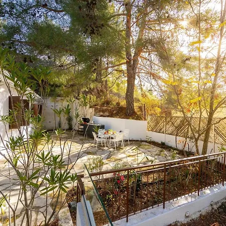 Forty Pine Trees *