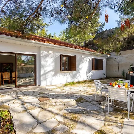 别墅 Forty Pine Trees *