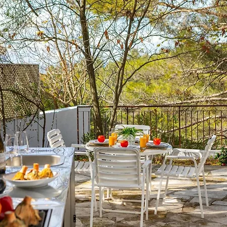 Forty Pine Trees 别墅 普拉特斯