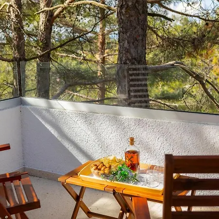 Forty Pine Trees 普拉特斯