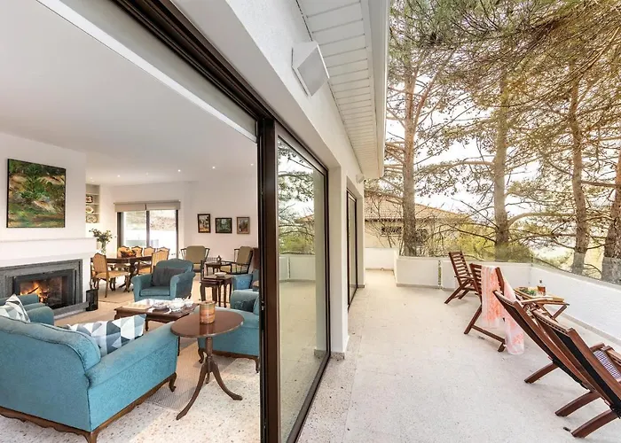 Forty Pine Trees * Platres