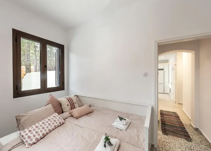 Forty Pine Trees Platres