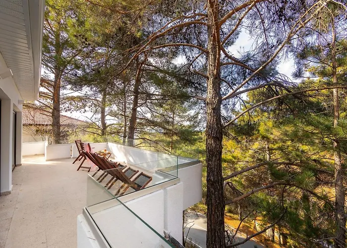 Vila Forty Pine Trees