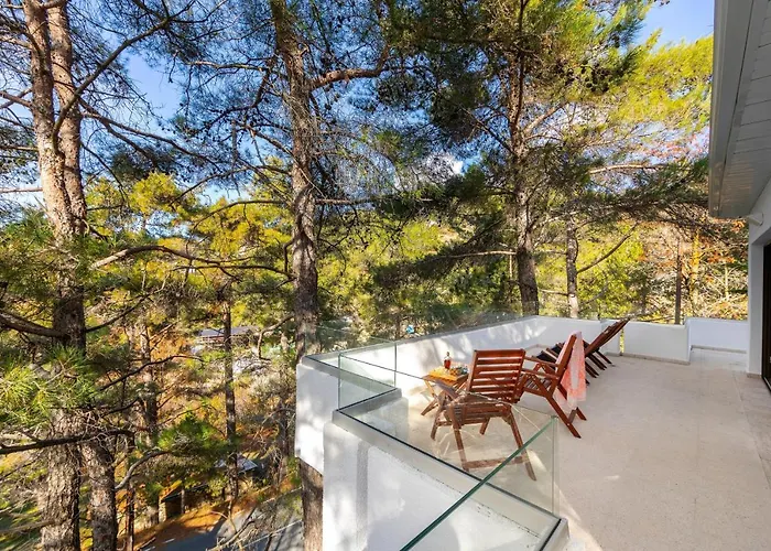 Forty Pine Trees * Platres