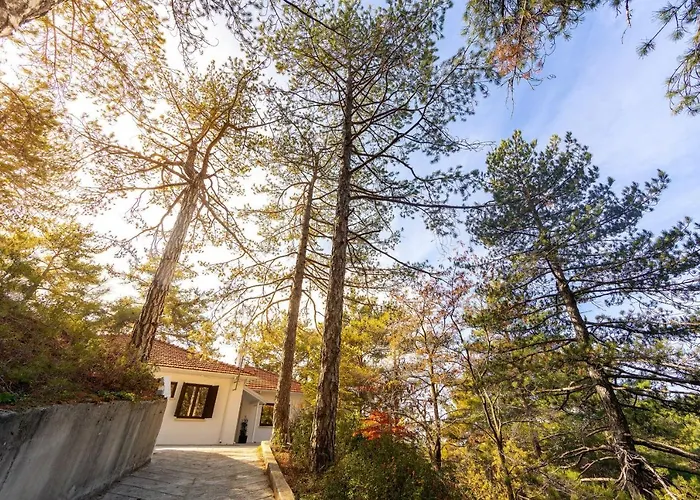 ヴィラ Forty Pine Trees *